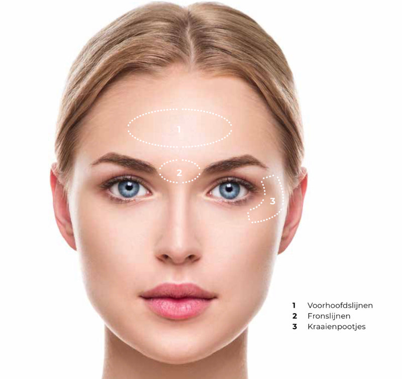 The Max - Wrinkle Smoother